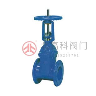 Z45X-10、Z45X-16 彈性座封閘閥